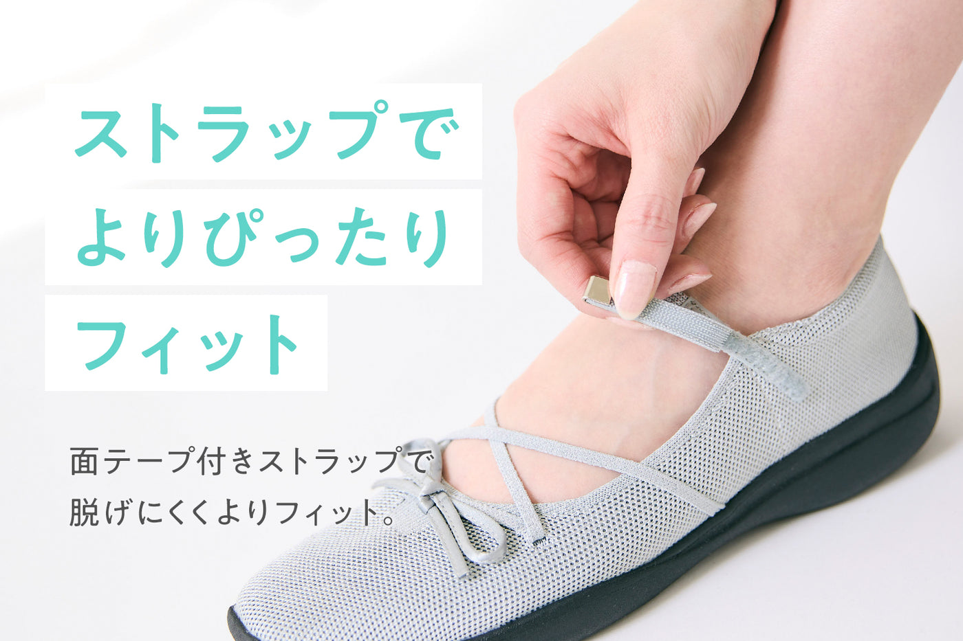 商品の特長