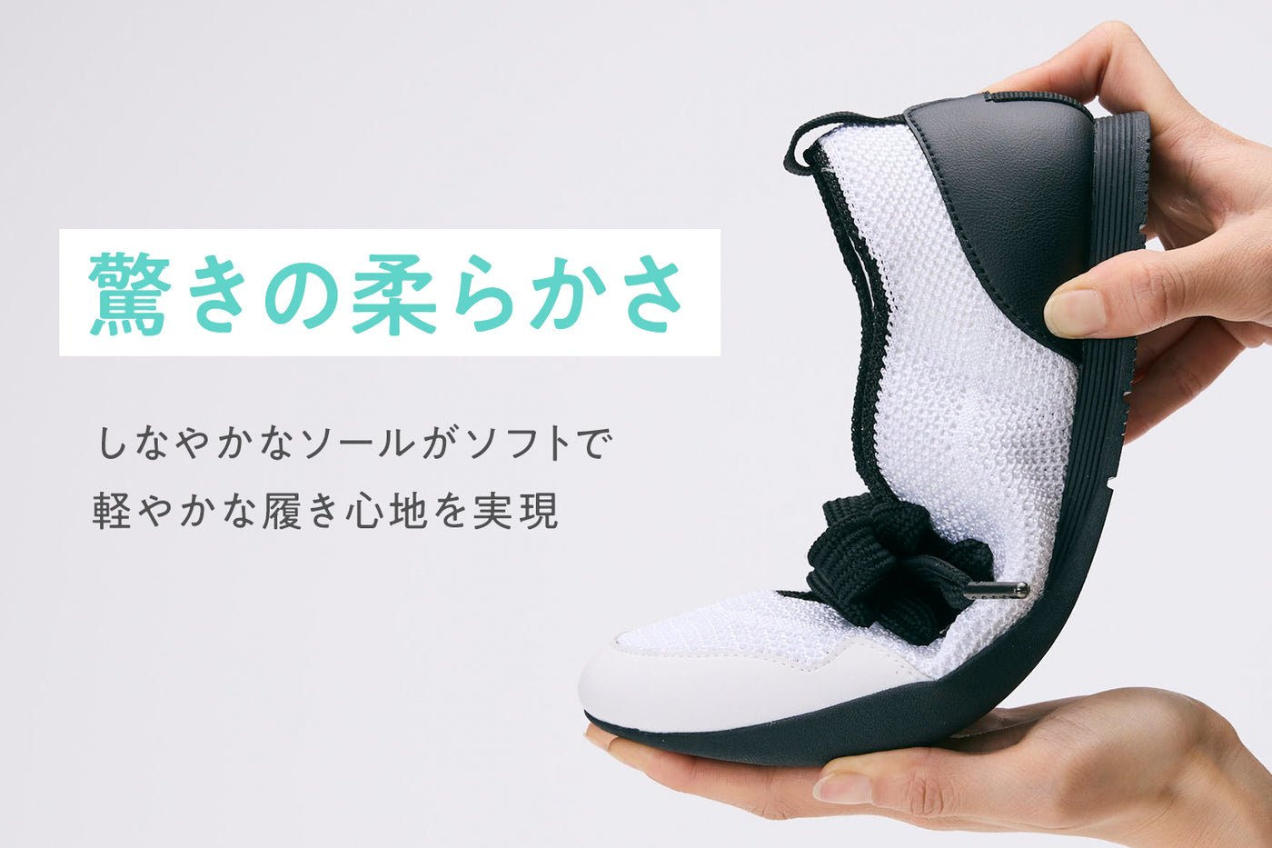 商品の特長