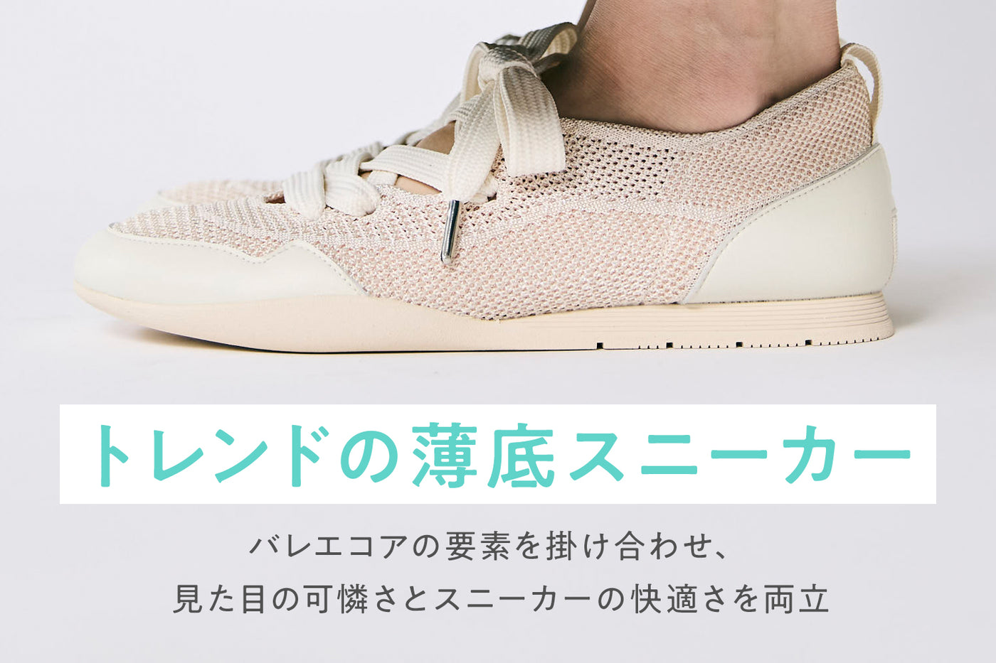 商品の特長